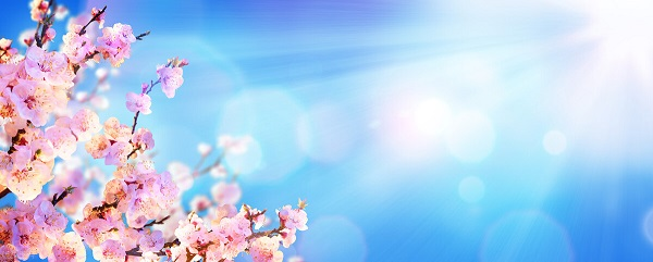 戰(zhàn)疫情，北京韋林公司全體員工齊心協(xié)力共克時艱！